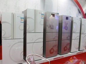 2011家电博览会 中日冰箱洗衣机亮相